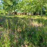 3 - Domaine Des Landes * Lesperon (Landes)