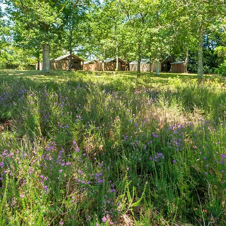 3 - Domaine Des Landes * Lesperon (Landes)