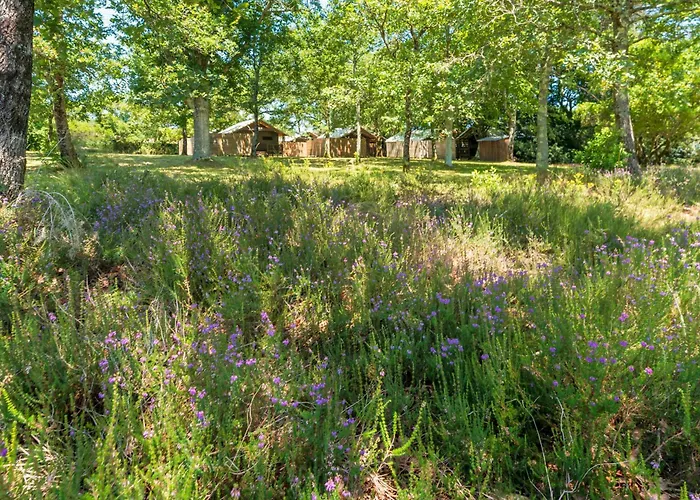 3 - Domaine Des Landes